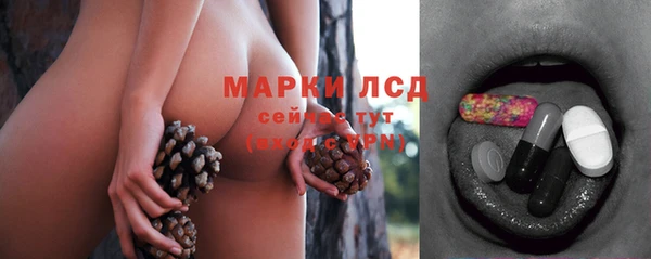 дурь Карпинск