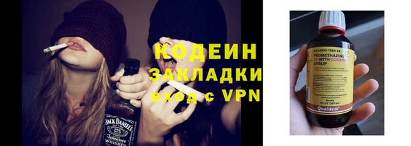 дурь Карпинск