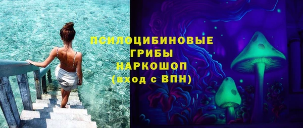 дурь Карпинск