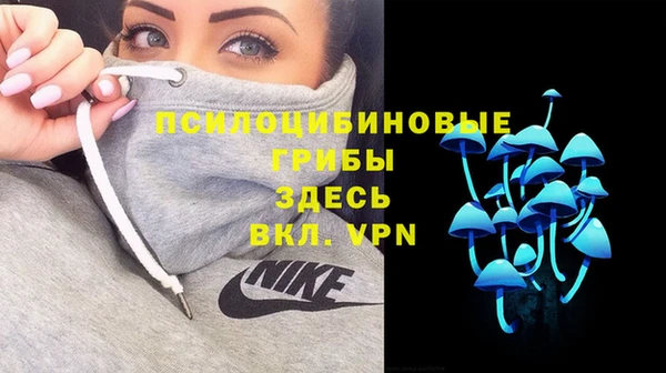 ALPHA-PVP Карталы