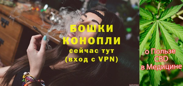 дурь Карпинск