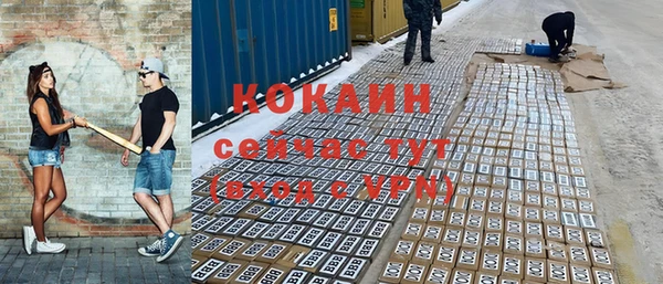 дурь Карпинск