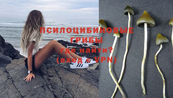 дурь Карпинск