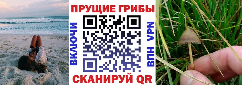 Купить  Нарьян-Мар  Псилоцибиновые грибы ЛСД 